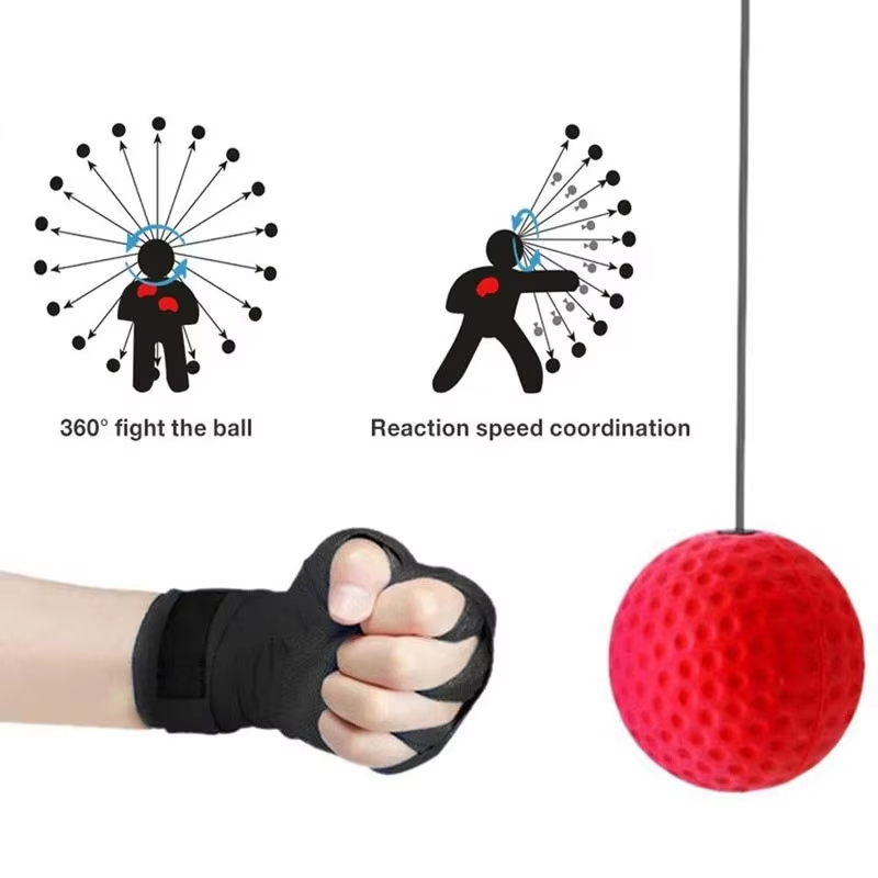 Bola Kecepatan Tinju yang Dipa - Sports Equipment Wholesale ulasan dan harga